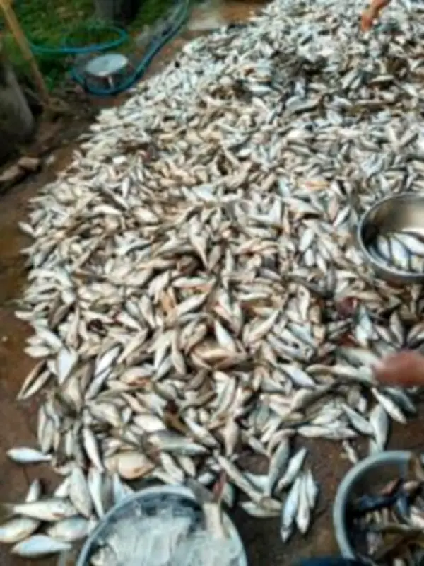 พม่าตั้งเป้าดึงนักท่องเที่ยวจีน 2 ล้านคนในปี 2568 หลังยกเว้นวีซ่า