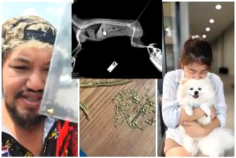 สลด! เจ้าหน้าที่ดับ 2 ศพ ถูกคลื่นซัดจมทะเลหลังตรวจเขื่อนกันทราย