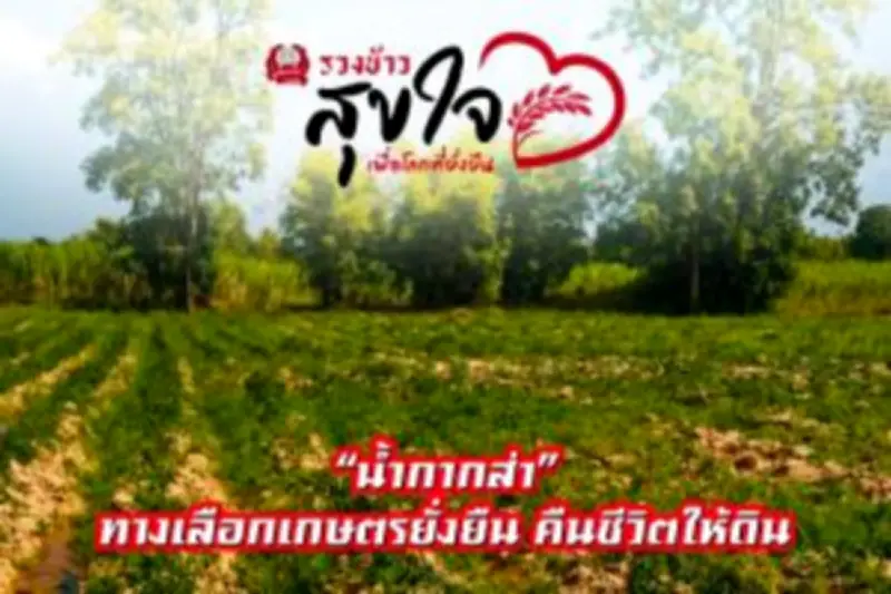 โครงการประกันสังคมปรับเพิ่มค่าคลอดบุตรเป็น 2 ครั้ง ครอบคลุมสิทธิมากขึ้น