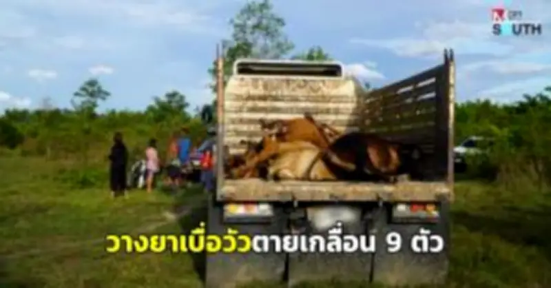 คืบหน้าคดีลักทรัพย์พระเครื่องวัดดังยะลา ตำรวจรวบผู้ต้องหาได้แล้ว 2 ราย