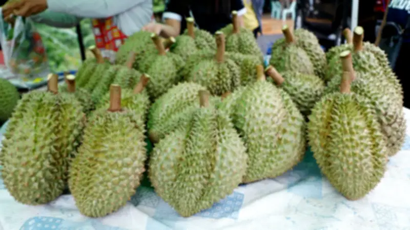 ทุเรียนน้ำแร่บุรีรัมย์ 2,000 ตัน เตรียมออกสู่ตลาด ราคาพุ่งไม่ต่ำกว่า 115 บาท/กก.
