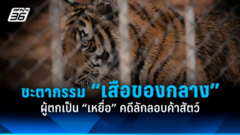 ร้านสะดวกซื้อดังเปิดบริการ 24 ชม. เตรียมปรับเวลาเปิด-ปิดตามสถานการณ์