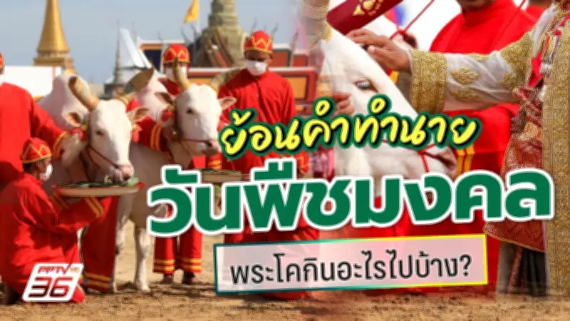 ติดตามข่าวล่าสุดกับสยามโพสต์24
