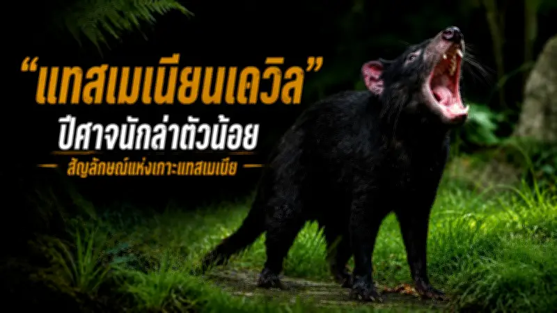 ประกันสังคมจ่ายเยียวยาเงินสมทบ 2568 เริ่มแล้วเช็กสิทธิ์ด่วน