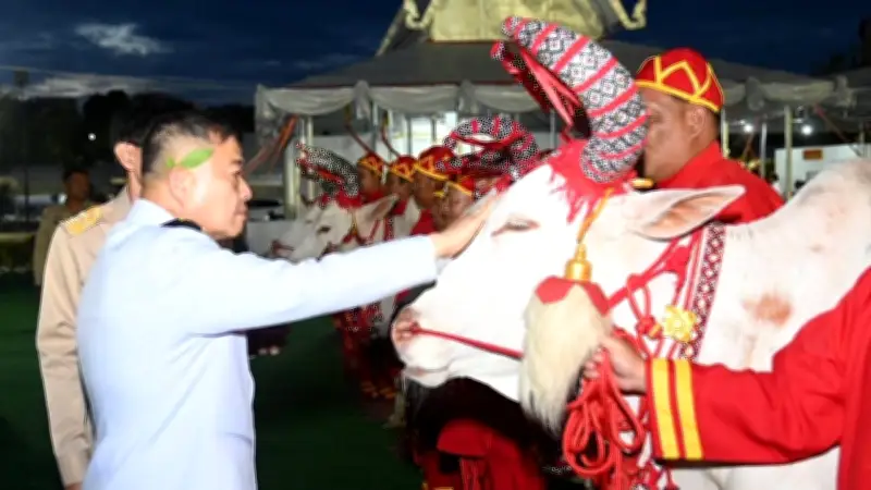 พิธีล้างมือพระยาแรกนา เจิมหน้าพระโค ก่อนวันพืชมงคล 2569