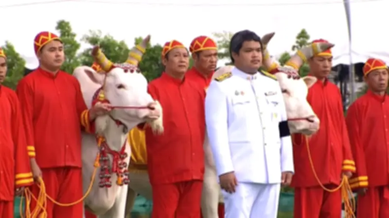 วันพืชมงคล 2569 ฝนตกโปรยปรายทั่วกรุง เช้าชุ่มฉ่ำก่อนพระราชพิธี
