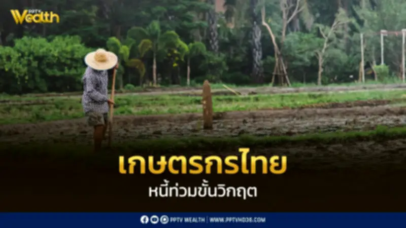 วิจัยชี้หนี้เกษตรกรไทยพุ่งสูง 3 เท่า ติดกับดักจ่ายแต่ดอกเบี้ย