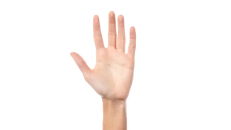 ดูลายมือคนรวย เช็ก 3 เส้นวาสนาพารับทรัพย์ คนจะรวยต้องมีเส้นไหน?