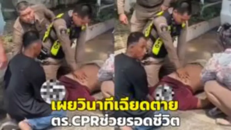พายุถล่มนครศรีธรรมราช ต้นไม้ล้มทับรถเสียหาย 3 คัน