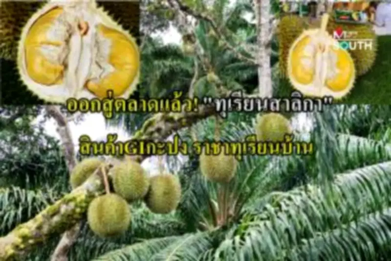 เปิดใจหนุ่มใต้เก็บสลากดิจิทัล 30 ใบส่งคืนเจ้าของ รับบุญใหญ่ชีวิต