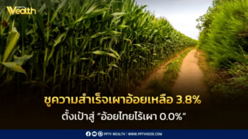 วราวุธชูความสำเร็จลดเผาอ้อยเหลือ 3.8% ต่ำติดอันดับโลก ตั้งเป้าสู่อ้อยไทยไร้เผา 0.0%