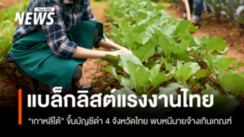 เกาหลีใต้ขึ้นบัญชีดำ 4 จังหวัดไทย แรงงานเกษตรหลบหนีเกิน 20%