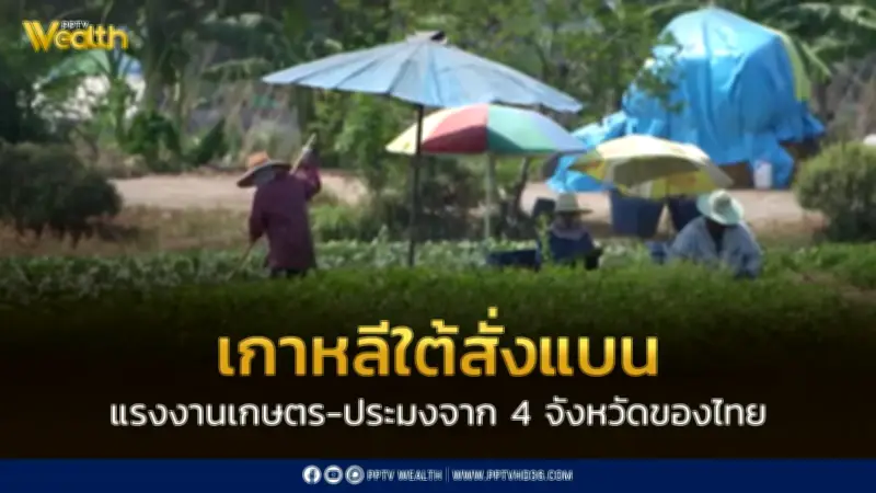เกาหลีใต้แบนแรงงานเกษตร-ประมง 4 จังหวัดไทยตลอดปี 2569