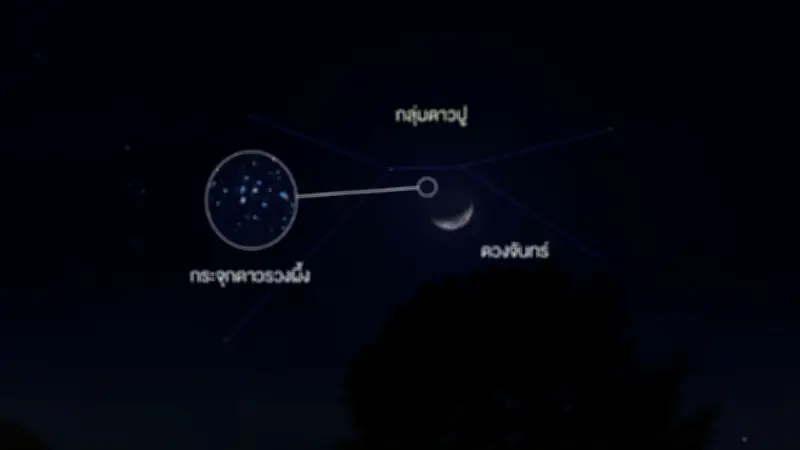 คืนนี้ 4 ทุ่ม ชมดวงจันทร์ผ่านกระจุกดาวรวงผึ้ง ทางทิศตะวันตก