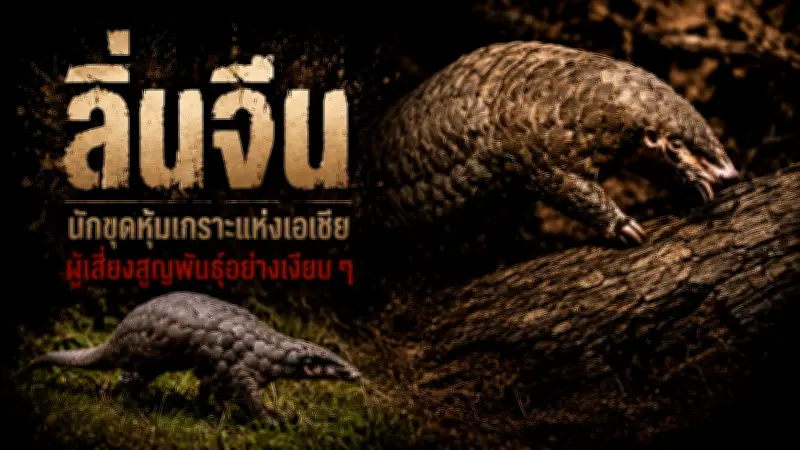เปิดตัวรถยนต์ไฟฟ้ารุ่นใหม่จากจีน ราคาไม่ถึง 5 แสนบาท