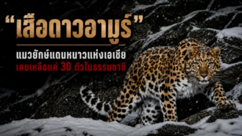 เปิดตำรับอาหารเพื่อสุขภาพ 5 เมนูเด็ดเสริมภูมิคุ้มกัน