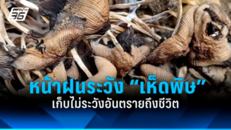 เปิด 5 อันตรายที่มากับการนอนกรน เสี่ยงโรคหัวใจ-ความดัน