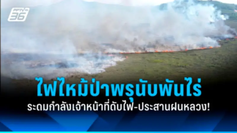 หนุ่มร้องถูกแฟนสาวหลอกขายกระเป๋าแบรนด์เนมปลอม เสียหายกว่า 6 แสน