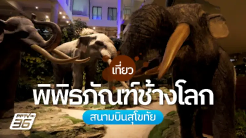 เที่ยวพิพิธภัณฑ์ช้างโลก สนามบินสุโขทัย ย้อนรอยกำเนิดช้าง 60 ล้านปี