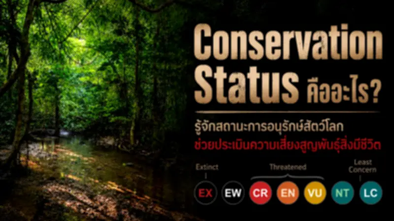 เปิดตัวรถยนต์ไฟฟ้ารุ่นใหม่ แบตเตอรี่วิ่งได้ไกลกว่า 600 กิโลเมตร