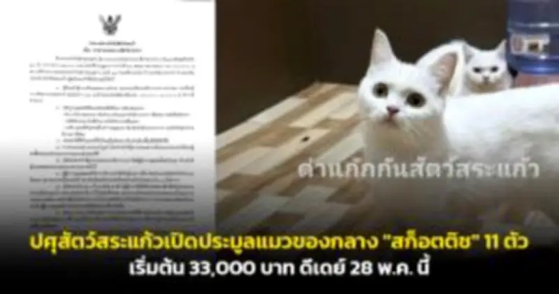 ธปท.เผยยอดส่งออกเม.ย.67 หดตัว 1.7% เหตุเศรษฐกิจคู่ค้าชะลอตัว