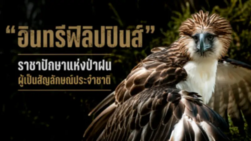 เปิดตัวหุ่นยนต์สุนัข AI หุ่นยนต์คู่หูเพื่อนซี้ในบ้าน