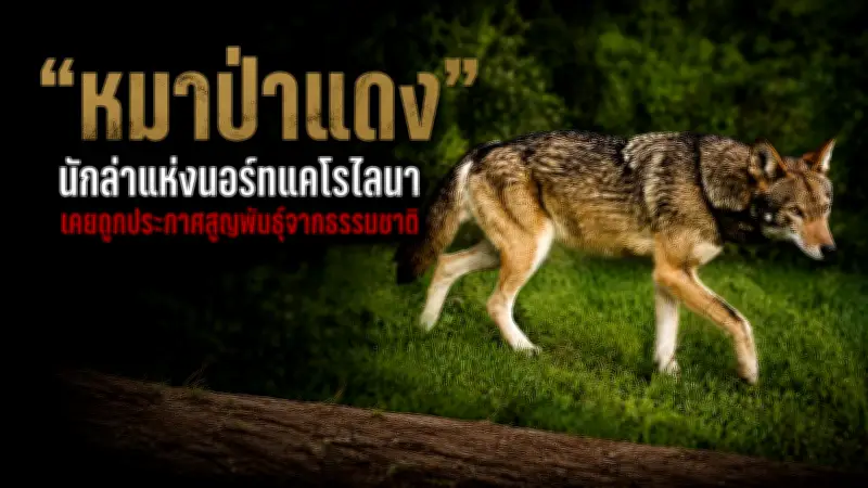 เปิดตัวหุ่นยนต์ฟาร์ม AI ลดต้นทุนเกษตรกรไทย