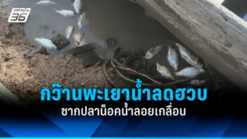พายุถล่มหลายจังหวัดในไทย เกิดน้ำท่วมฉับพลัน