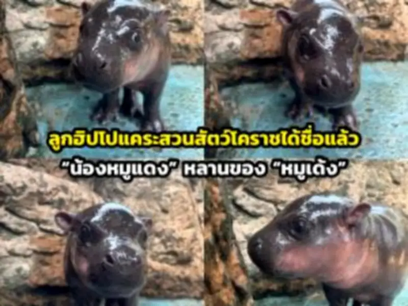 เที่ยววัดอรุณฯ ชมพระปรางค์คืนชีพ เปิดไฟกลางคืนสวยตระการตา