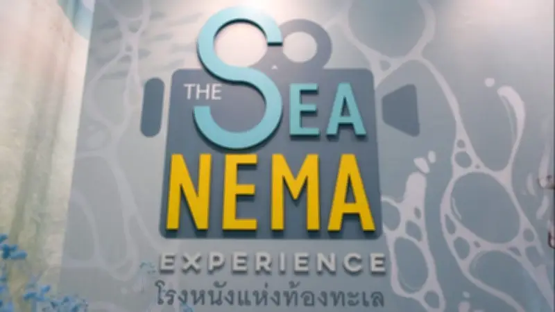 ชมนิทรรศการโรงหนังแห่งท้องทะเล ฟรี! สำรวจวิกฤตใต้ทะเลผ่านศิลปะ