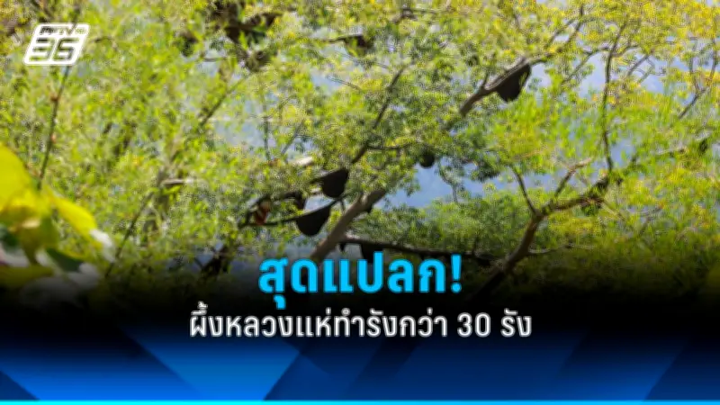 นายกฯ ห่วงใยประชาชน ลงพื้นที่ตรวจสถานการณ์น้ำท่วมภาคใต้