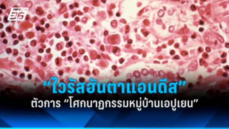 สหรัฐฯ ยกระดับเตือนภัยการเดินทางทั่วโลก หวั่นกลุ่มก่อการร้ายโจมตี