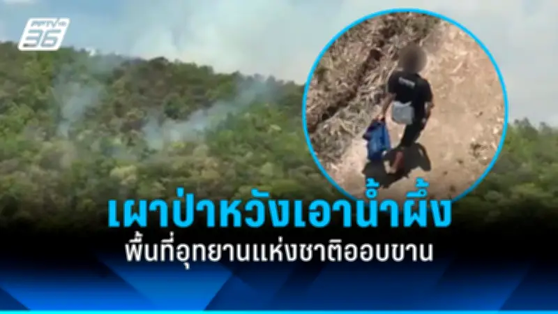 พายุถล่มกรุงเทพฯ ต้นไม้ล้มทับรถเสียหายหลายจุด