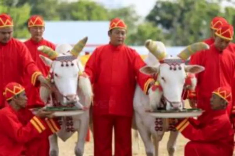 ศาลรัฐธรรมนูญรับคำร้องยุบพรรคก้าวไกล คดีล้มล้างการปกครอง