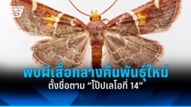 ทรัมป์ลงนามคำสั่งคว่ำบาตรศาลอาญาระหว่างประเทศ กรณีออกหมายจับนายกฯอิสราเอล