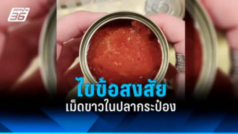 ไขข้อสงสัย กินไข่ทุกวันดีต่อสุขภาพหรือไม่