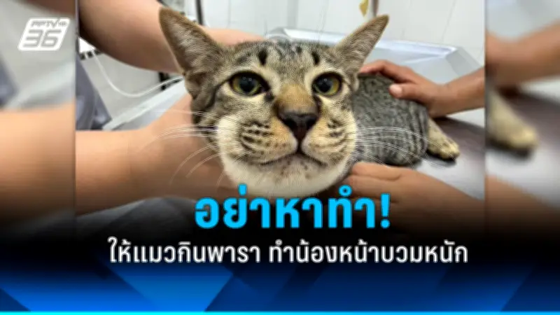 เปิดใจแม่ค้าส้มตำถูกทำร้ายจนเสียชีวิต ญาติร้องขอความเป็นธรรม