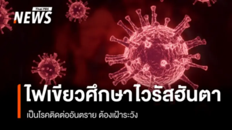 คณะกรรมการโรคติดต่อฯ เห็นชอบศึกษา 'ไวรัสฮันตา' เป็นโรคติดต่ออันตราย