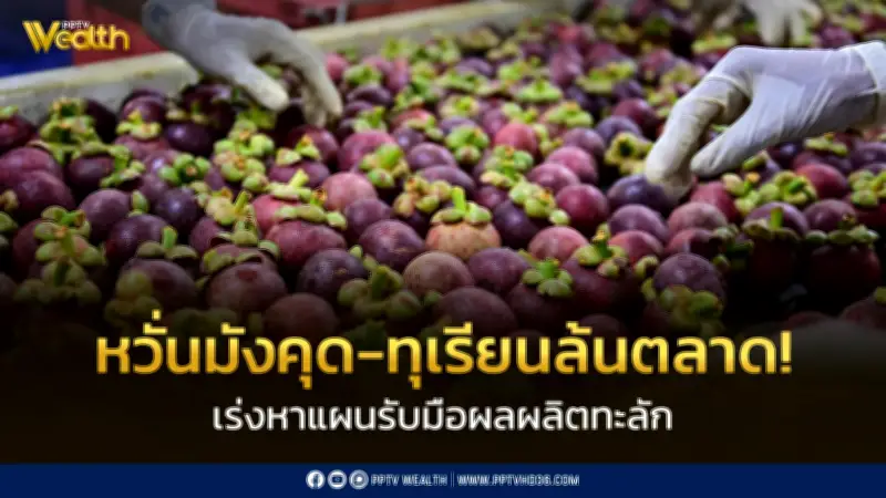พาณิชย์เร่งถกทุกภาคส่วนพยุงราคามังคุด-ทุเรียนรับมือผลผลิตล้นตลาด