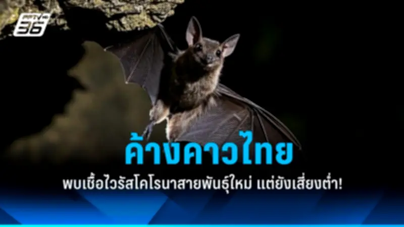 เตือนภัย! อาหารเช้าซีเรียลอาจมีสารเคมีอันตรายปนเปื้อน