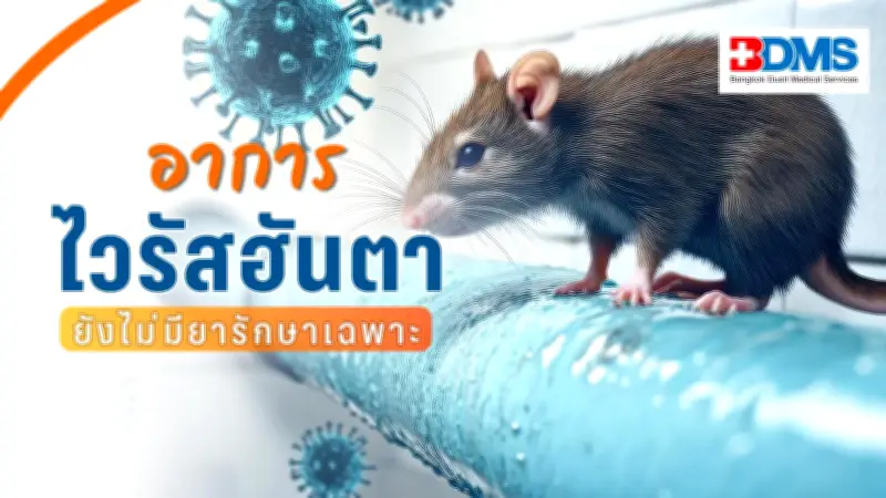 ไวรัสฮันตา โรคจากหนูสู่คน อาการคล้ายไข้หวัดใหญ่ เสียชีวิตสูง ยังไม่มีวัคซีน