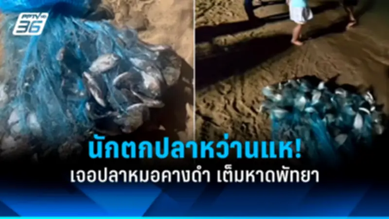 หนุ่มขับกระบะอัดก๊าซพังยับ ชนท้ายรถสิบล้อกลางเมืองราชบุรี