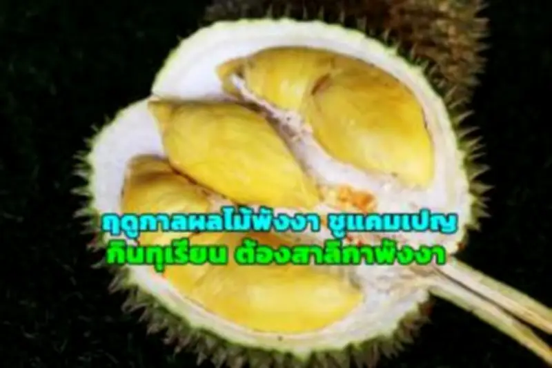 เที่ยวพิพิธภัณฑ์ในกรุงเทพ เปิดประสบการณ์ใหม่น่าเที่ยว