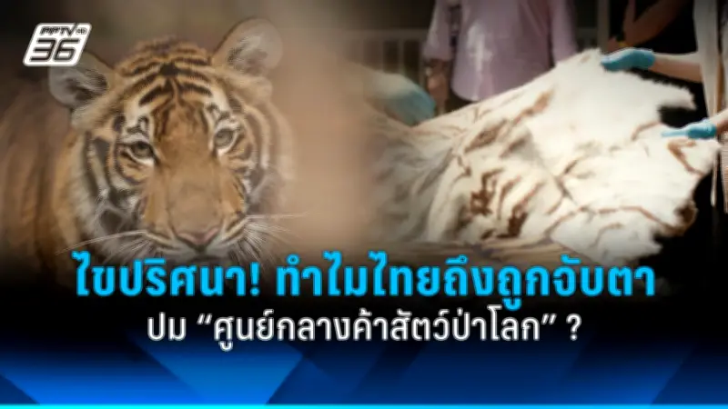 เตือน! อย่าแชร์ภาพเด็กติดในรถ เสี่ยงผิดกฎหมายละเมิดสิทธิเด็ก
