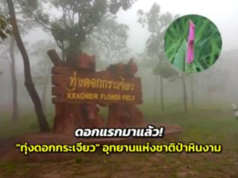เปิดประสบการณ์เที่ยวทะเลตรัง สัมผัสธรรมชาติสวยงาม