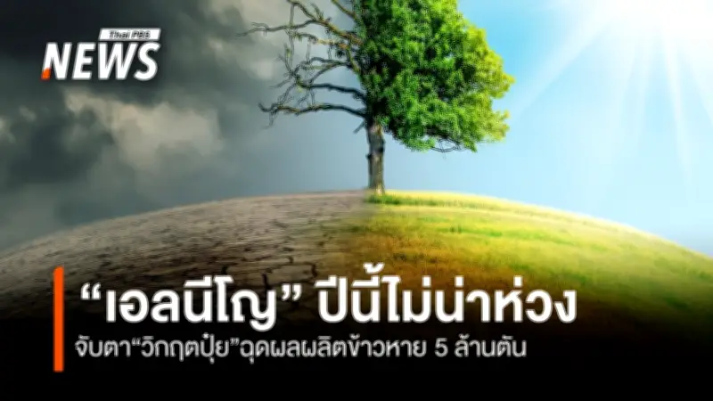 เกียรตินาคินภัทรชี้เอลนีโญปีนี้ไม่น่าห่วง แนะจับตาวิกฤตปุ๋ยขาดแคลน