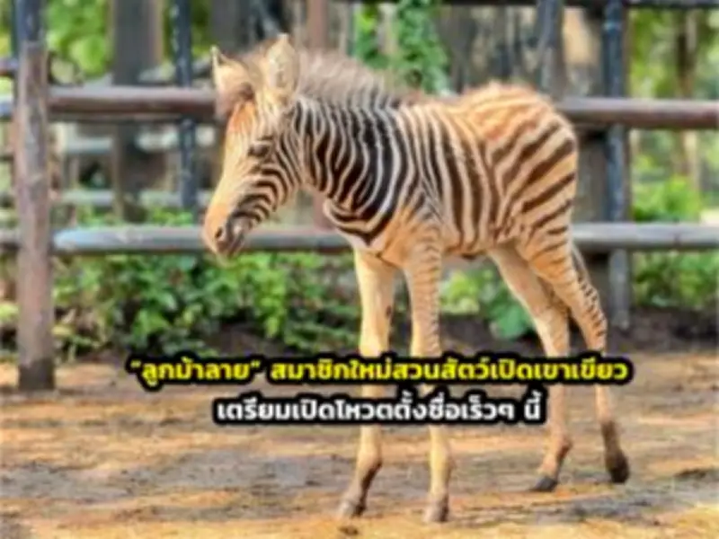 เปิดตำนานวัดศรีชุม จ.สุโขทัย ความเชื่อเรื่องพญานาคและพระพุทธรูปใหญ่
