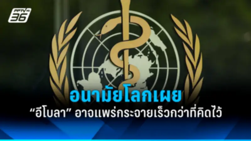 เกาหลีใต้ประกาศใช้กฎหมายดิจิทัลใหม่ควบคุมแพลตฟอร์มยักษ์ใหญ่