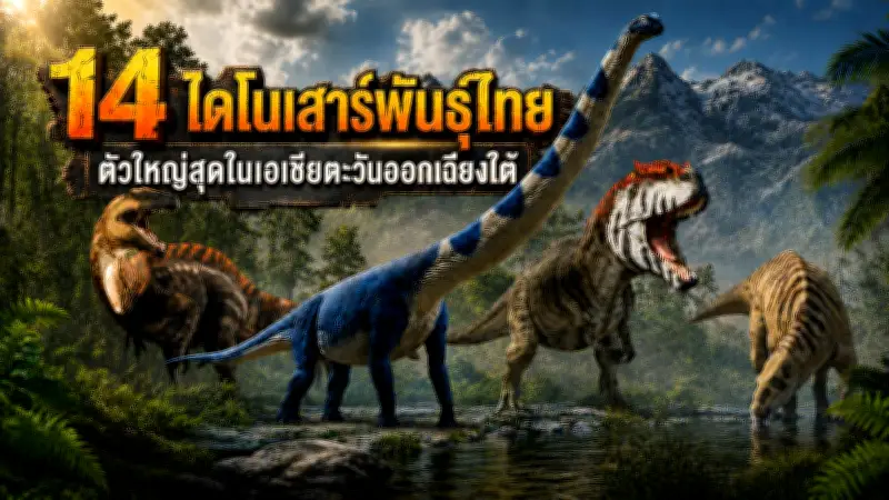 เปิดประสบการณ์ใหม่ ดูดาวและกางเต็นท์สุดโรแมนติกกลางหุบเขา