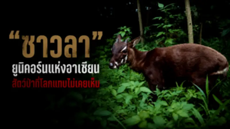 เปิดตัวแอปพลิเคชันใหม่เพื่อการจัดการสุขภาพส่วนบุคคล